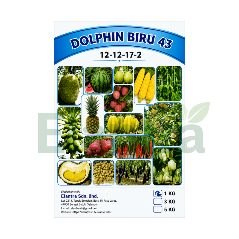 DOLPHINE 43